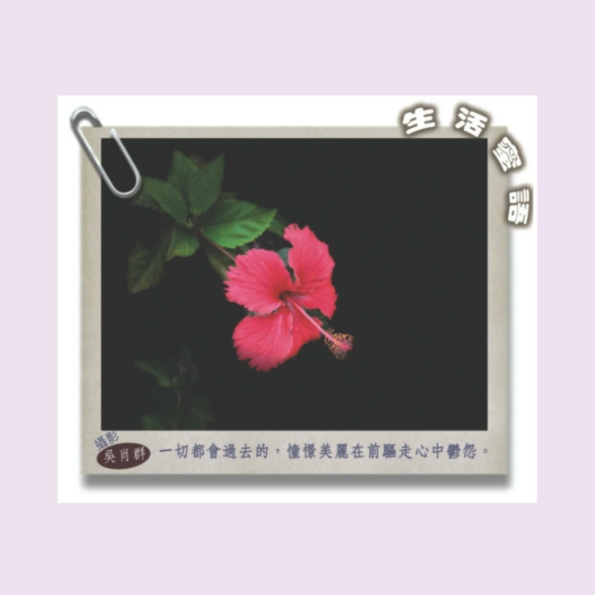 生活蜜語 65