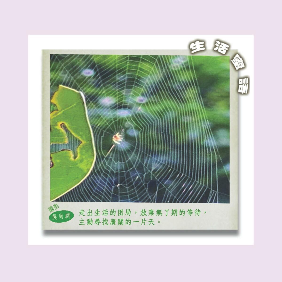 生活蜜語 67