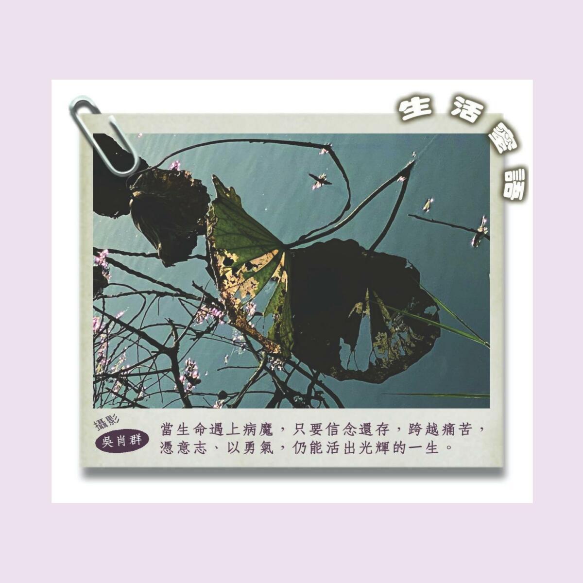生活蜜語 68